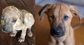 Before and After
